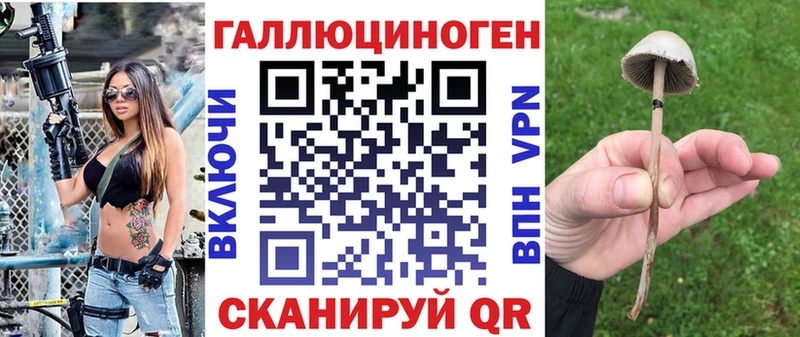 даркнет сайт  Палласовка  это какой сайт  Псилоцибиновые грибы мухоморы 